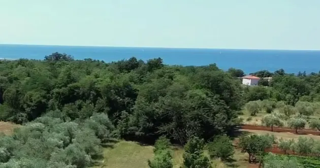 Attraktives Baugrundstück nahe dem Meer in Umag – 1.156 m²